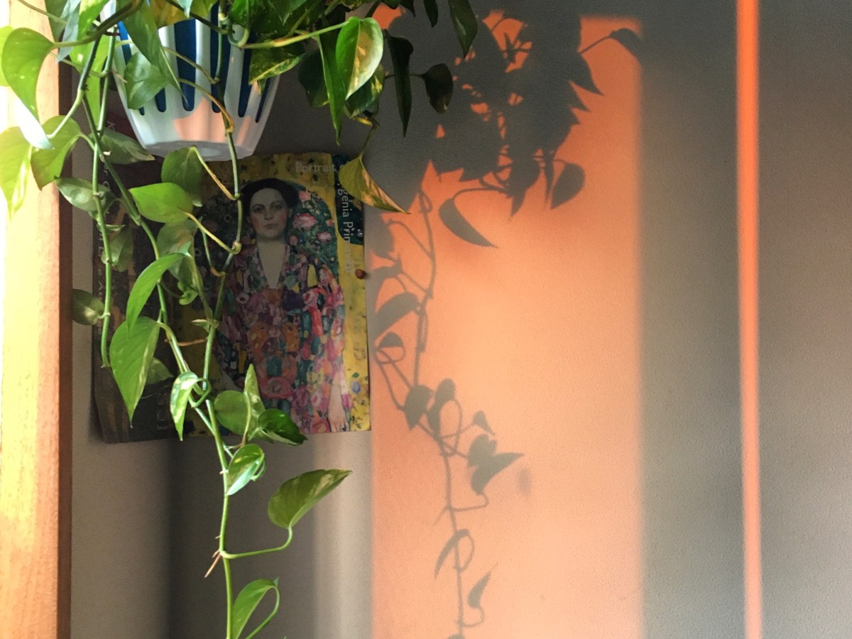 #2 Catching as many Sunrises as possible in the land of rising Sun – Week&nbsp;2